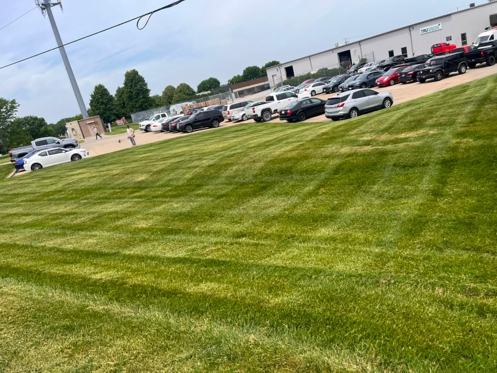 Lawn Care